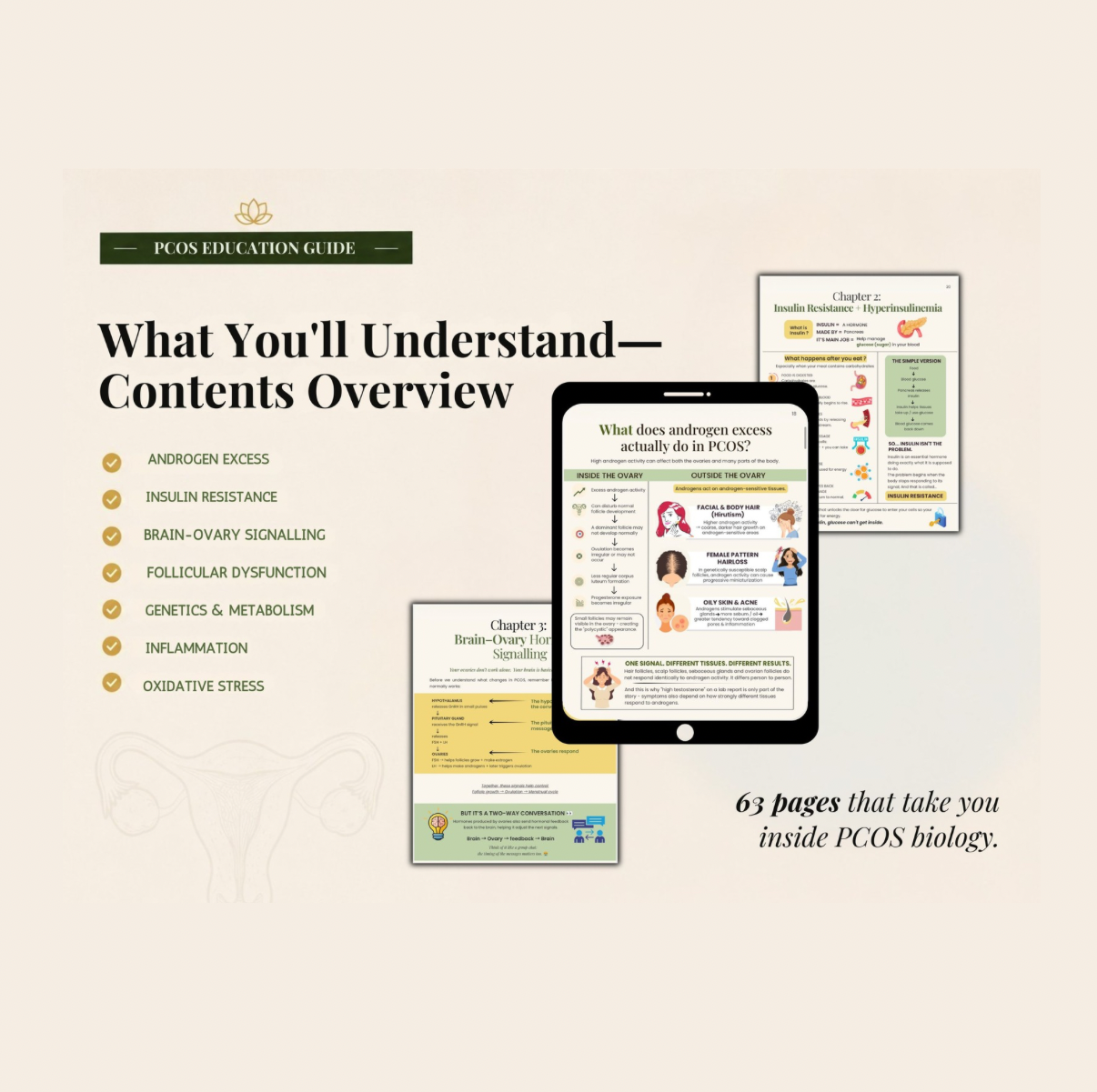 PCOS Finally Explained | 63-Page Visual Education Guide | Hormones, Insulin, Ovulation & Androgens | Digital PDF