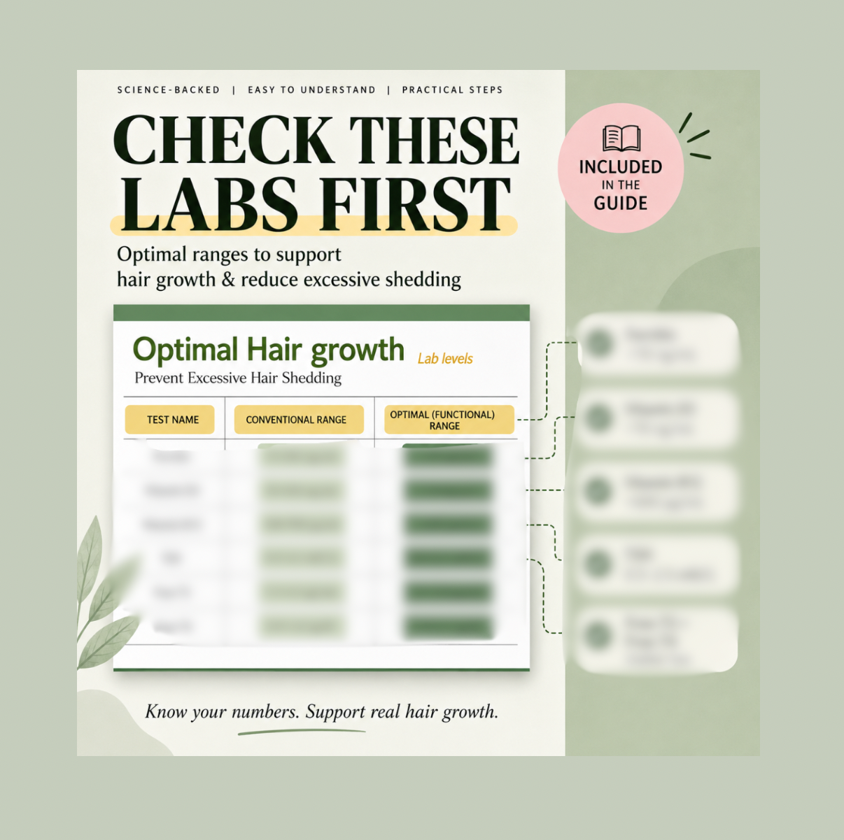 Hair Shedding Lab Guide | Digital PDF | Blood Tests & Optimal Levels for Hair Growth