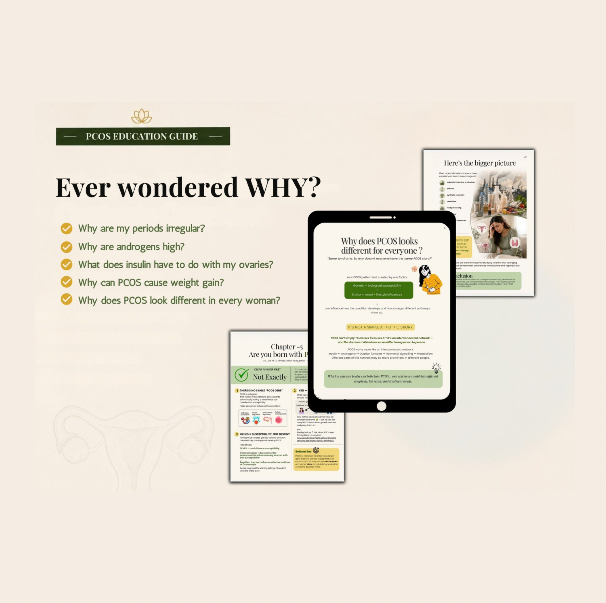 PCOS Finally Explained | 63-Page Visual Education Guide | Hormones, Insulin, Ovulation & Androgens | Digital PDF