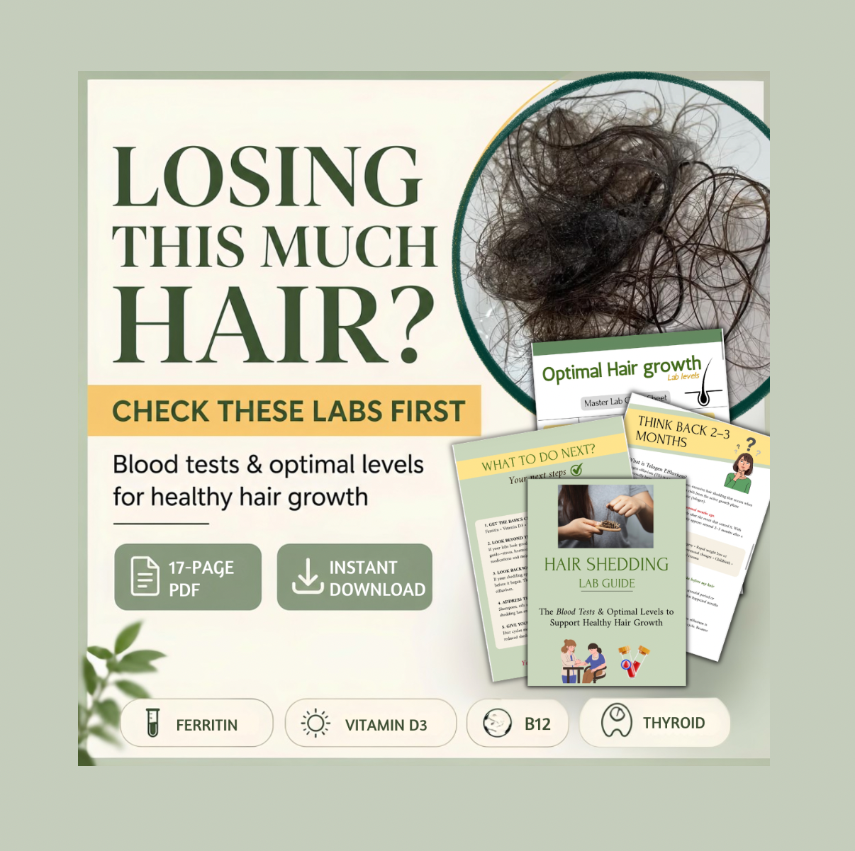 Hair Shedding Lab Guide | Digital PDF | Blood Tests & Optimal Levels for Hair Growth