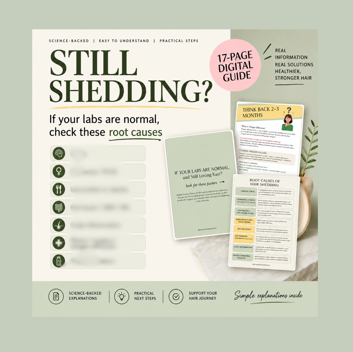 Hair Shedding Lab Guide | Digital PDF | Blood Tests & Optimal Levels for Hair Growth