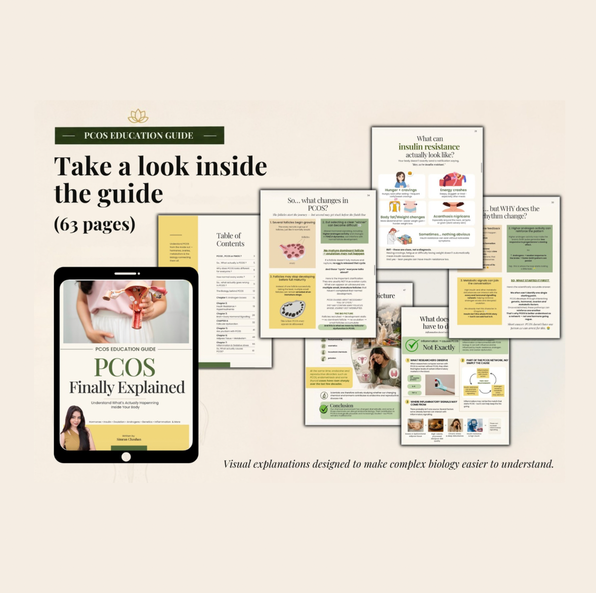PCOS Finally Explained | 63-Page Visual Education Guide | Hormones, Insulin, Ovulation & Androgens | Digital PDF