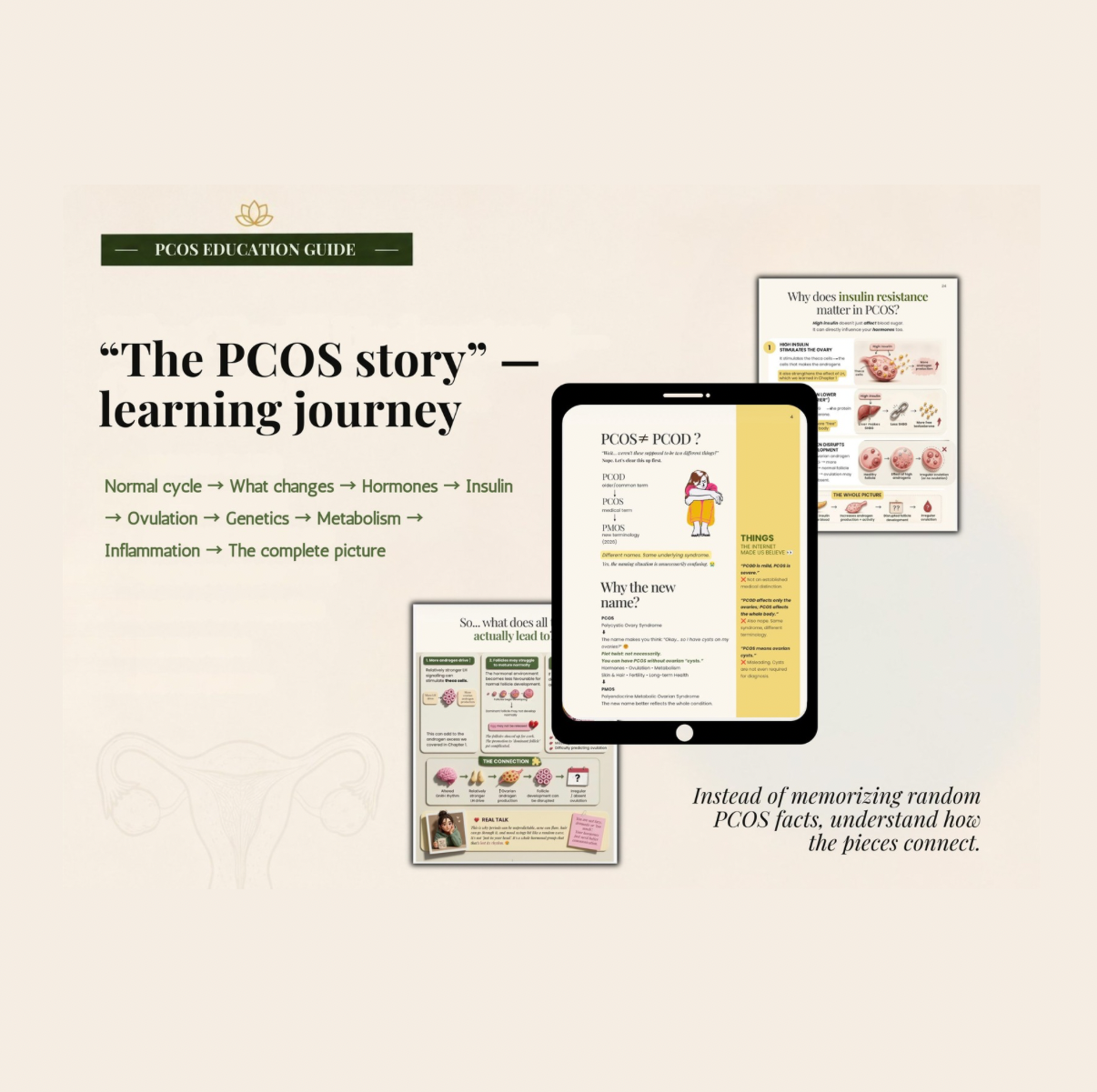 PCOS Finally Explained | 63-Page Visual Education Guide | Hormones, Insulin, Ovulation & Androgens | Digital PDF