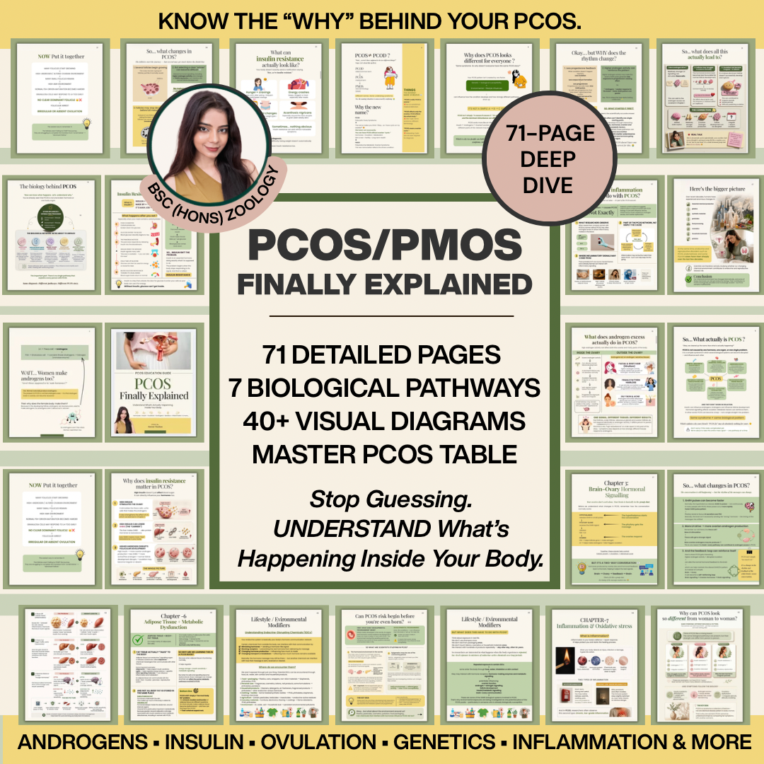 PCOS Finally Explained | 71-Page Visual Education Guide | Hormones, Insulin, Ovulation & Androgens | Digital PDF