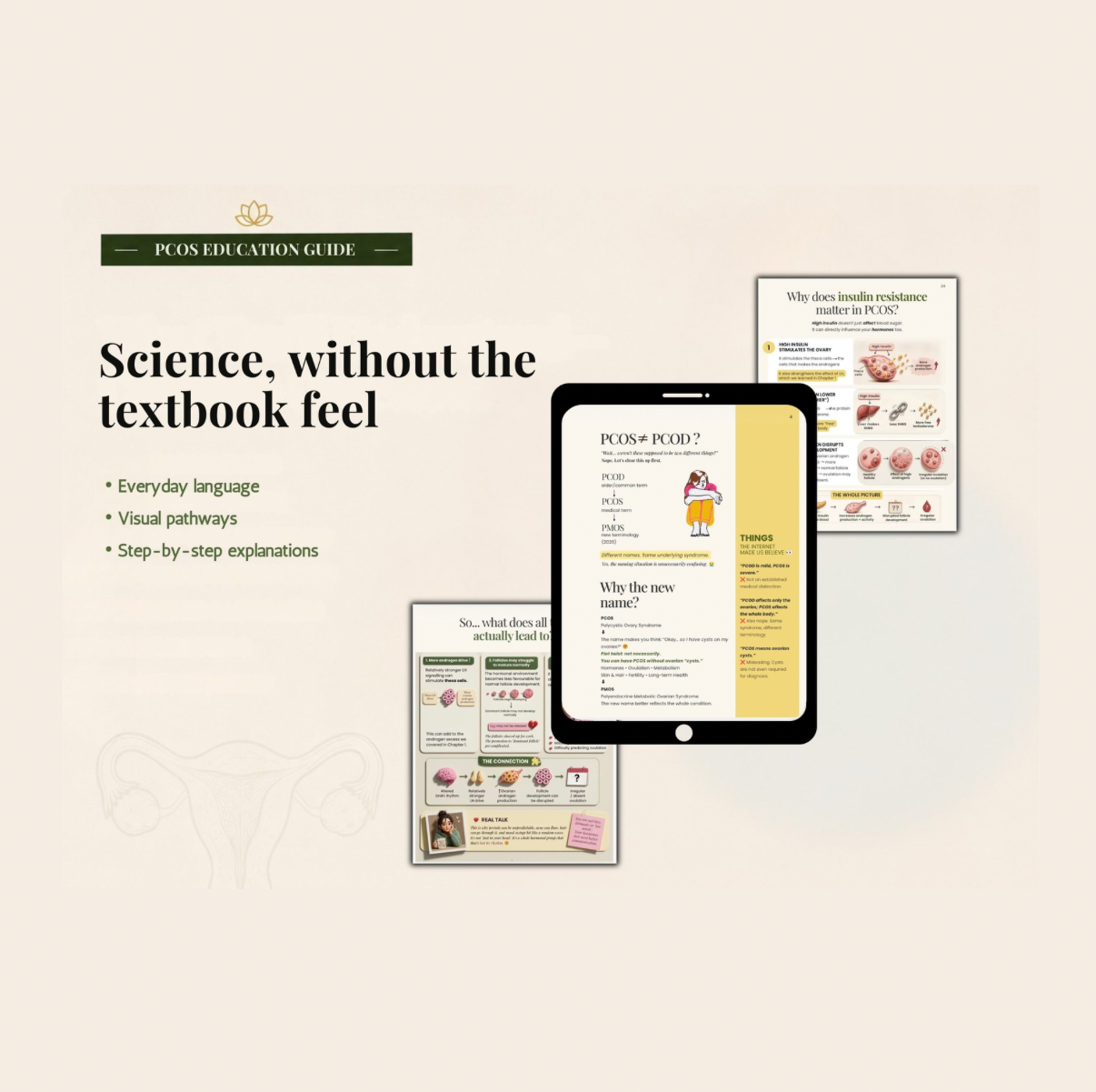 PCOS Finally Explained | 63-Page Visual Education Guide | Hormones, Insulin, Ovulation & Androgens | Digital PDF