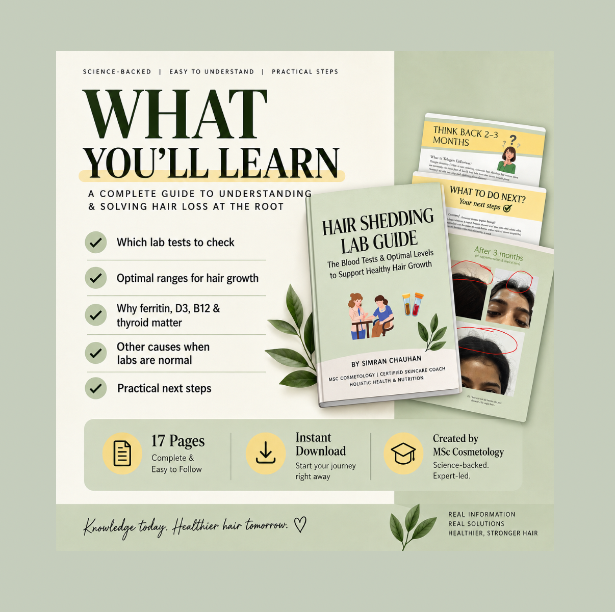 Hair Shedding Lab Guide | Digital PDF | Blood Tests & Optimal Levels for Hair Growth